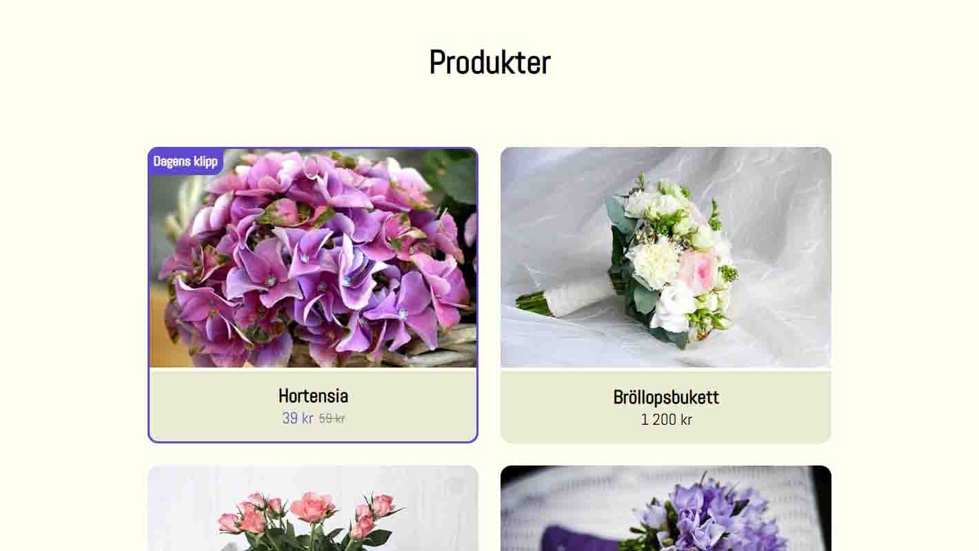 Florista Products Section